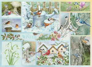 Garden Birds in Winter Collage By Cobble Hill