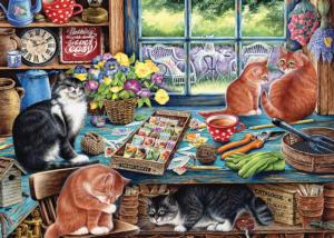 Garden Shed Cats