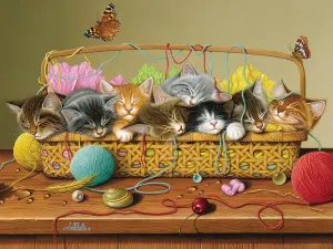 Basket Case Cats By Jack Pine