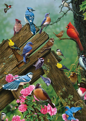 Wildbird Gathering Birds By Cobble Hill