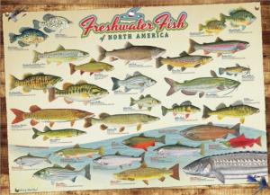 Cobble Hill 1000 Pc. Puzzle: Freshwater Fish of North America