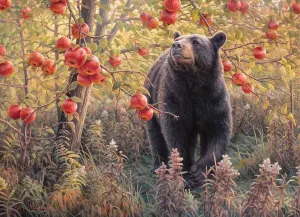 Den Dreams Bear By Cobble Hill
