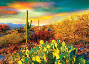 Desert Dreams Sunrise & Sunset By Eurographics