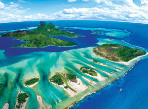 Coral Reef Beach & Ocean By Eurographics