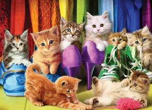 Kitten Pride Rainbow & Gradient By Eurographics