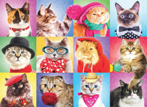 Silly Cats Cats By Eurographics