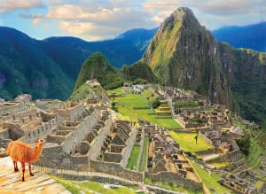 Peru - Machu Pichu Animals By Eurographics