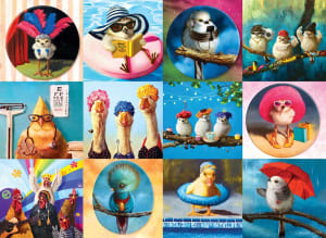 Funny Birds Birds By Eurographics