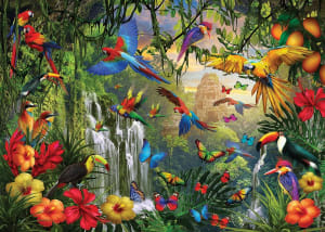 Tropical Paradise by SCarolina Butterflies and Insects By Eurographics
