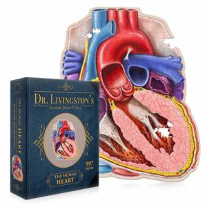 Dr. Livingston's Anatomy Jigsaw Puzzle: The Human Heart Science Jigsaw Puzzle By Genius Games