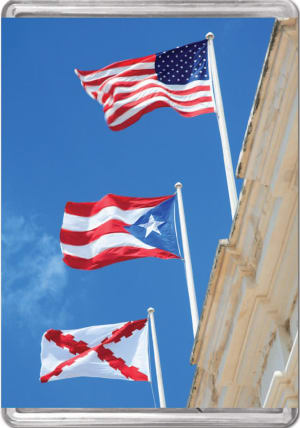 Flags Of Puerto Rico MiniPix® Puzzle United States By Pigment & Hue
