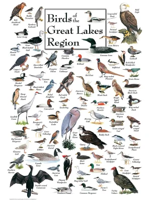 Birds of the Great Lakes Birds By Heritage Puzzles