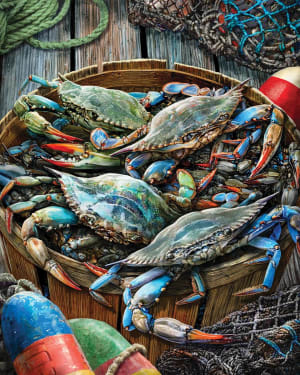 Catch of the Day Fish By Heritage Puzzles