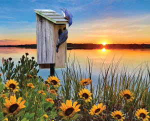 Bluebird Sunrise Sunrise & Sunset By Heritage Puzzles