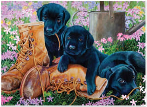 Trouble in the Garden Dogs By Cobble Hill