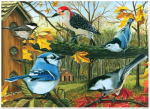 Backyard Feeder Fall By Jack Pine