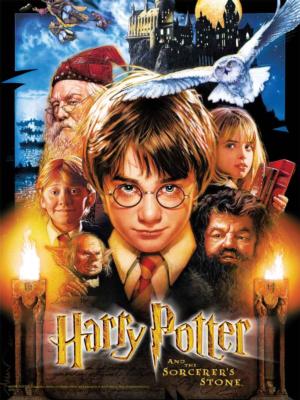 Harry Potter™ and the Sorcerer's Stone Harry Potter Jigsaw Puzzle By USAopoly