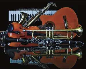 Art of Music Photography By Hart Puzzles