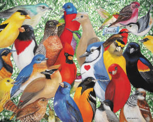 Birds, Birds, Birds Collage By Hart Puzzles
