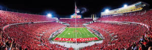 Ohio State University Buckeyes NCAA Stadium - Endzone Sports By MasterPieces