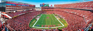 San Francisco 49ers NFL - End Zone Sports By MasterPieces