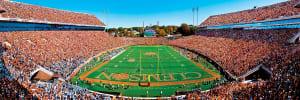 Clemson Tigers NCAA - End Zone Sports By MasterPieces