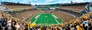 Pittsburgh Steelers NFL - End Zone Sports By MasterPieces