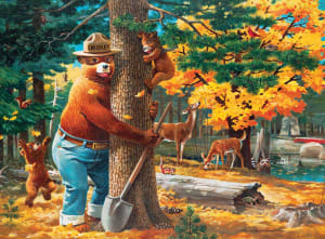 Smokey Bear National Parks By MasterPieces