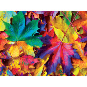 Fall Frenzy Collage By MasterPieces