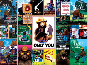 Smokey Bear Pop Culture Cartoon By MasterPieces