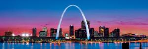 St. Louis St. Louis Panoramic Puzzle By MasterPieces