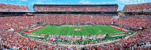 Alabama Crimson Tide NCAA Stadium Panoramics Center View Father's Day By MasterPieces
