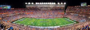 Florida Gators NCAA Stadium Panoramics Center View