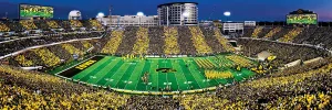 Iowa Hawkeyes NCAA Stadium Panoramics Center View Father's Day By MasterPieces