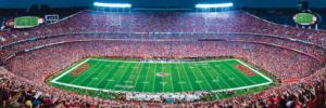Kansas City Chiefs NFL Stadium Panoramics Center View