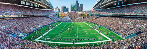 Seattle Seahawks NFL Stadium Panoramics Center View Sports By MasterPieces