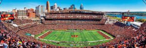 Cincinnati Bengals NFL Stadium Panoramics Center View Sports By MasterPieces