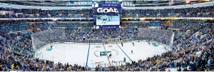St. Louis Blues NHL Stadium Panoramics  Center View St. Louis By MasterPieces