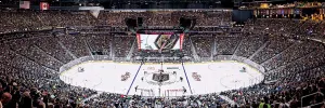 Vegas Golden Knights NHL Stadium Panoramics Center View Sports By MasterPieces