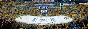 Nashville Predators NHL Stadium Panoramics Center View Sports By MasterPieces