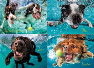 Underwater Dogs: Ruff Water Dogs Jigsaw Puzzle By Willow Creek Press
