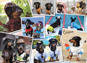 Crusoe's Greatest Hits Drinks & Adult Beverage By Willow Creek Press