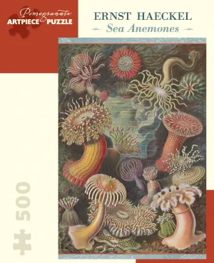 Sea Anemones Sea Life By Pomegranate