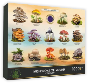 Mushrooms of Virginia Collage By Highland Creek