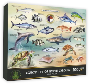 Aquatic Life of North Carolina Collage By Highland Creek