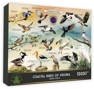 Coastal Birds of Virginia Collage By Highland Creek