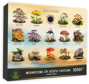 Mushrooms of South Carolina Collage By Highland Creek