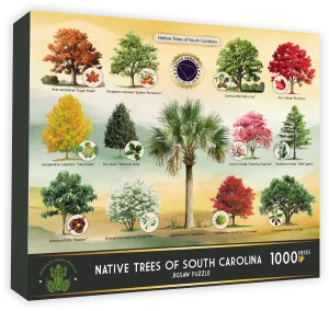 Native Trees of South Carolina Collage By Highland Creek