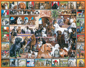 The World of Dogs Dogs By White Mountain