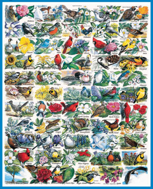 State Birds & Flowers Mother's Day By White Mountain
